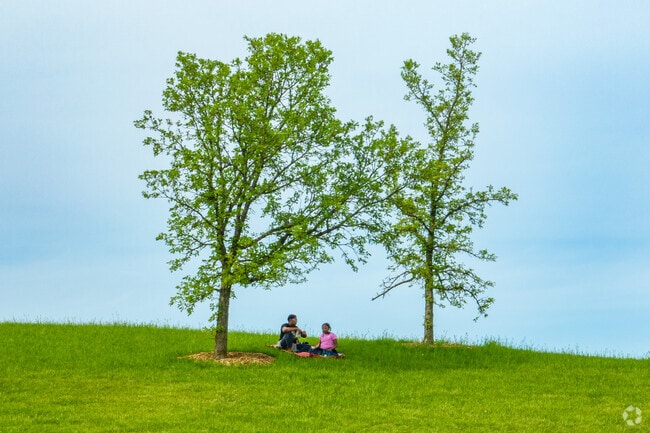 Enjoy a picnic under the shade of a tree at Goodenow Grove Nature Preserve.