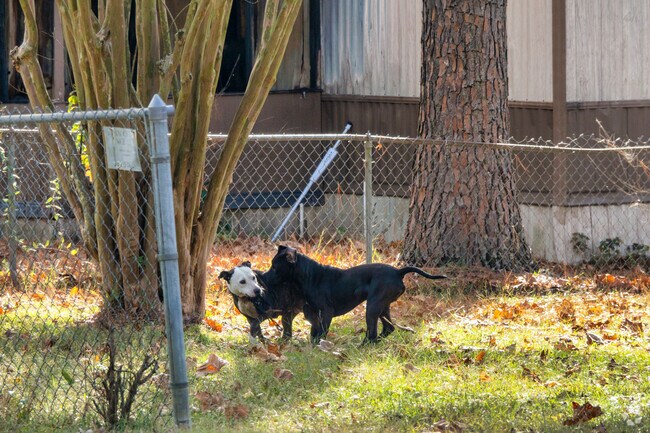 Large yards with room to let your dogs play are everywhere in Shannon Hills.