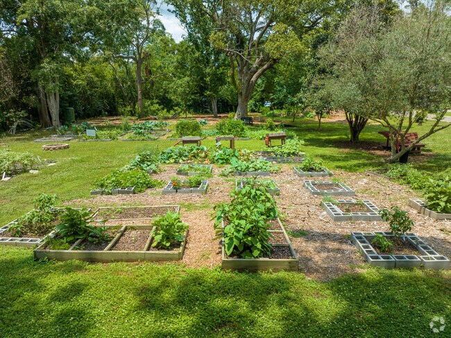 The Dent street community garden is a great place to enjoy nature and your neighbors.