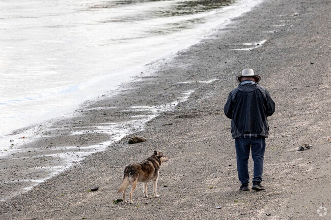 With pets, enjoy a leisurely stroll along the shoreline at Jack Hyde Park in Old Town Tacoma.