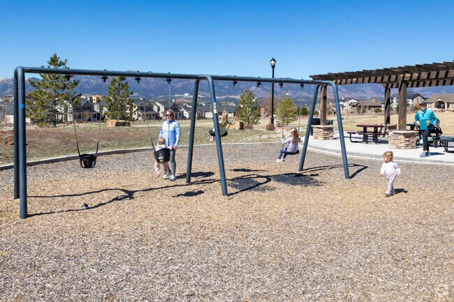 There are swings for all ages at Lizard Leap Park.