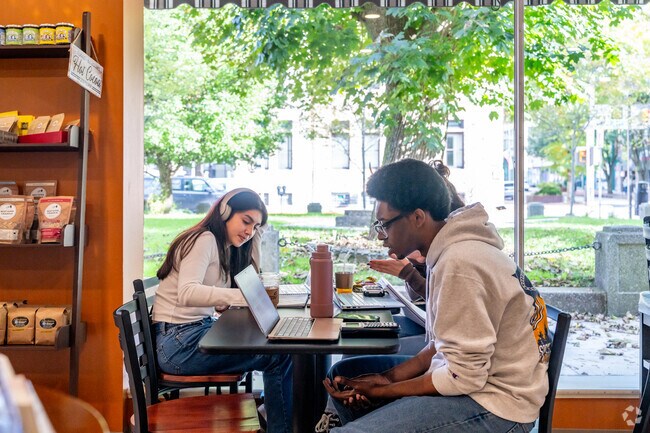 Local students study at the Classic Elements bookstore.