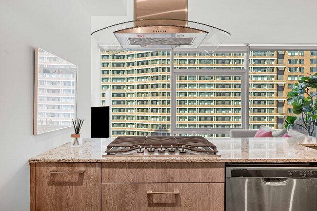 223 E Illinois St, Chicago, IL 60611 - photo 3