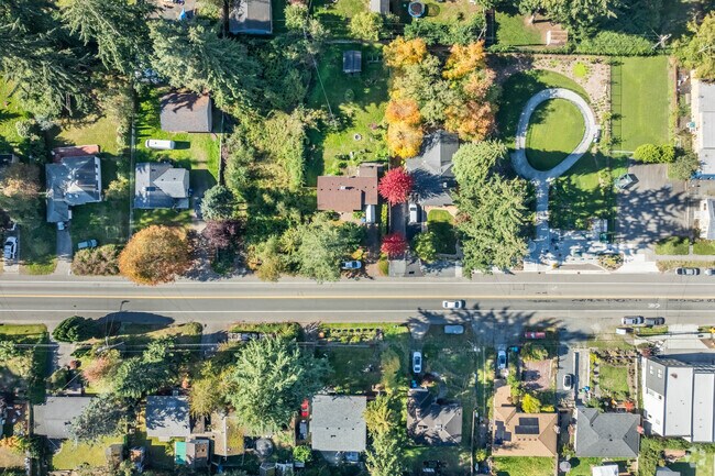 Giant trees surround Briarcrest homes with large yards.