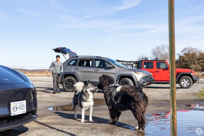 Cedar Beach has a big dog park close to East Hampton.