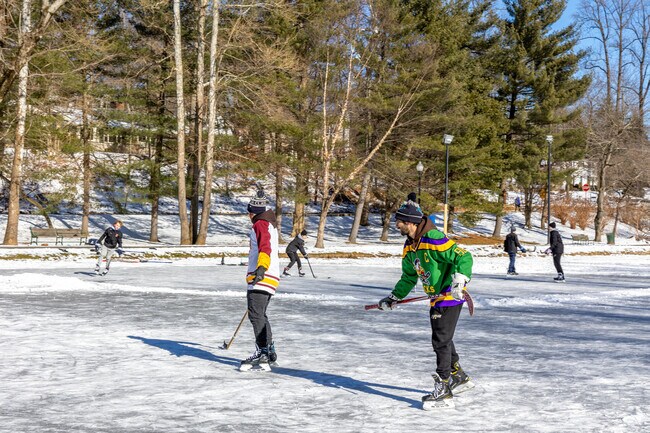 Residents enjoy ice skating on the frozen lake at Grover Cleveland Park in Caldwell.