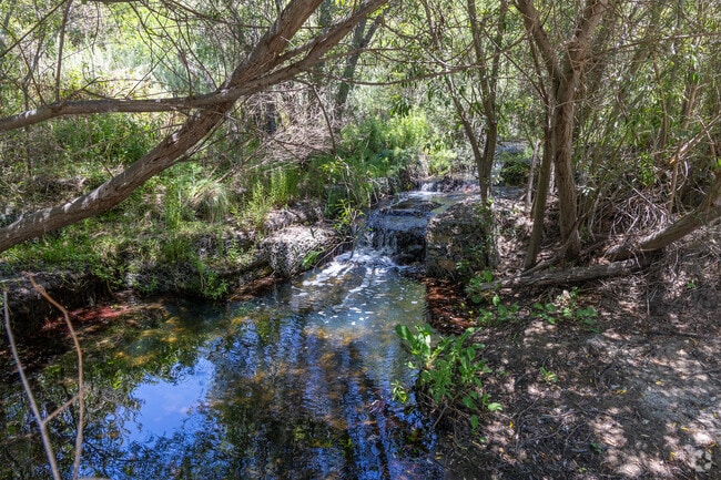 A small waterfall welcomes you to the Buck Gully Trail, just past the trailhead.