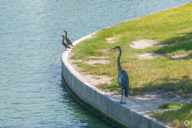 Serene ponds and local wildlife create a peaceful escape in Cypress Creek Lakes.