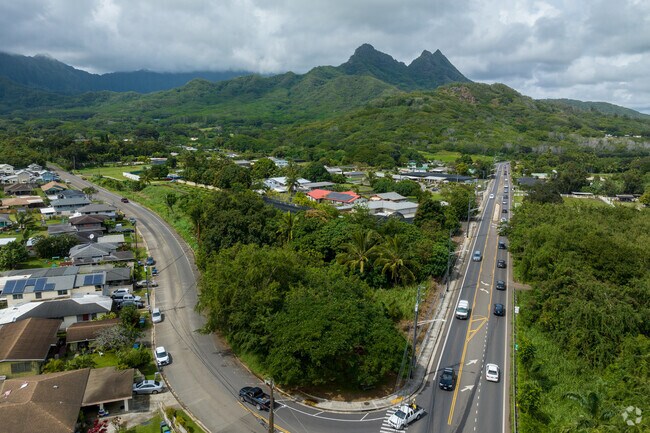 trees and neighborhood aerial