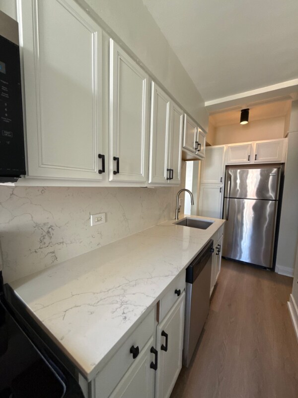 1301 N Lasalle St, Chicago, IL 60610 - photo 1