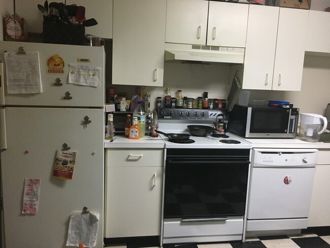 606 Columbus Ave unit 2R, Boston, MA 02118 - photo 5