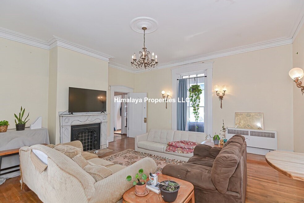 139 Hillside St, Roxbury Crossing, MA 02120 - photo 1