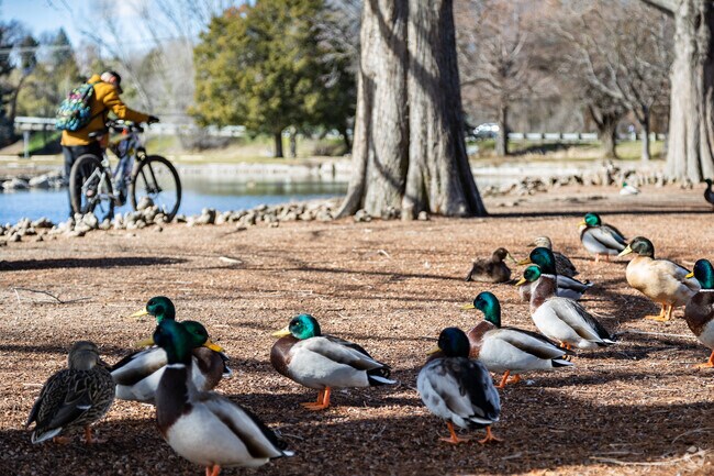 Anglers, bikers and ducks enjoy the abundant parks in Boise.
