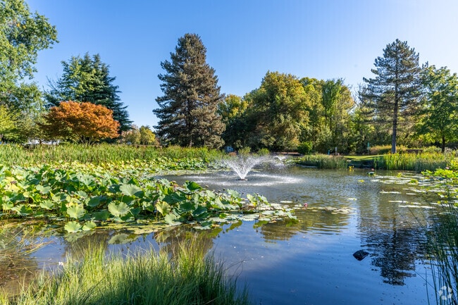 A beautiful pond can be found at Starker Park in Corvallis, Oregon.