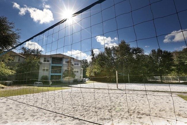 Cabana Beach Gainesville, Gainesville, FL 32607 - photo 4