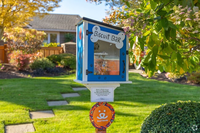 Woodridge’s Biscuit Bar serves up treats for dogs on neighborhood strolls.