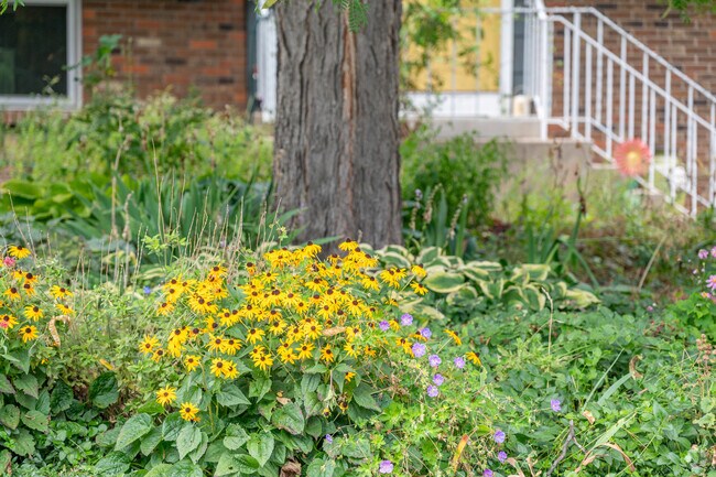 Beautiful flower gardens adorn the front yards of homes in Village East.
