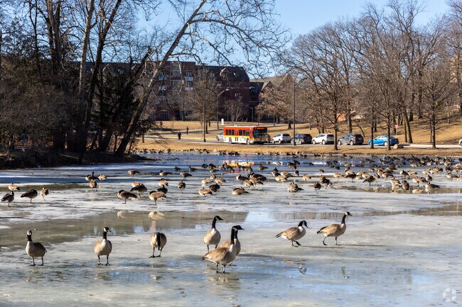 Lake Laverne is just a quick couple-minute walk down Lincoln Way from Oak-Riverside.