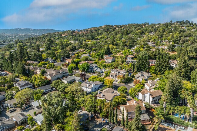 Buena Vista is where tree-lined streets and friendly faces make every day feel like home.