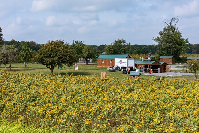 When in full bloom, Sunflowers of Sanborn gives residents beautiful fields to look out to.