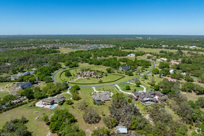 Large-acreage estates sprawl across the outskirts of Fish Hawk.