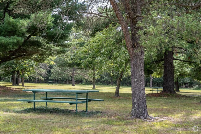 Champney Park has a number of picnic tables scattered throughout.