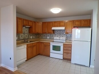 20 Heaths Ct unit 209, Lynn, MA 01905 - photo 1