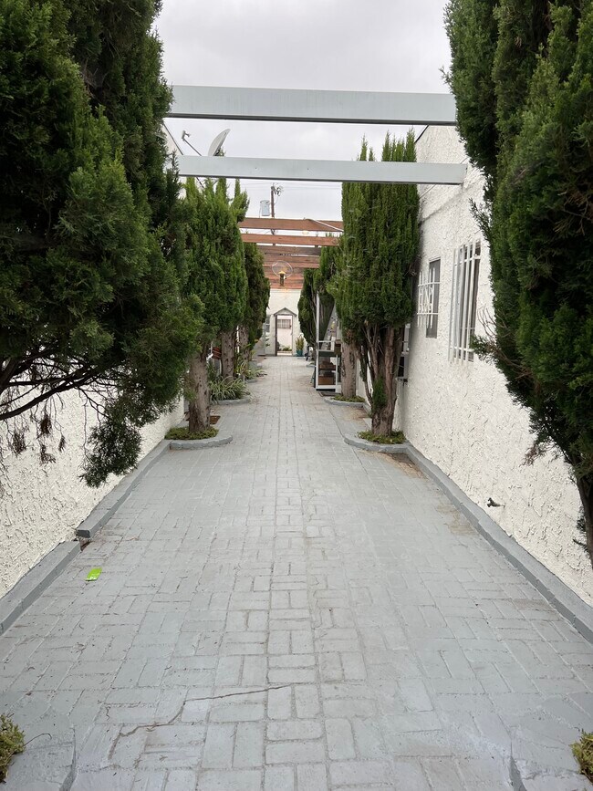 819 Alta Vista N Blvd unit 2, Los Angeles, CA 90046 - photo 5