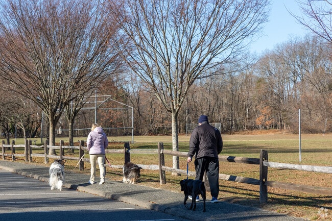Dog-friendly paths are common in Jackson’s Edgewood Park neighborhood.