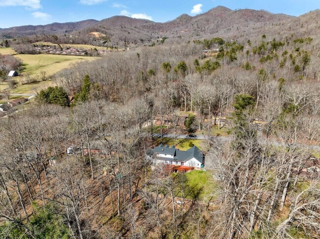 10 High Meadows Dr unit ID1236830P, Candler, NC 28715 - photo 6