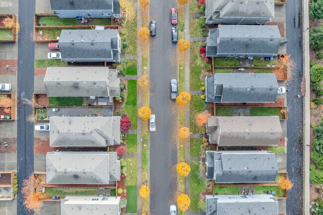 Cozy, colorful tree lined streets of Lacey WA area.