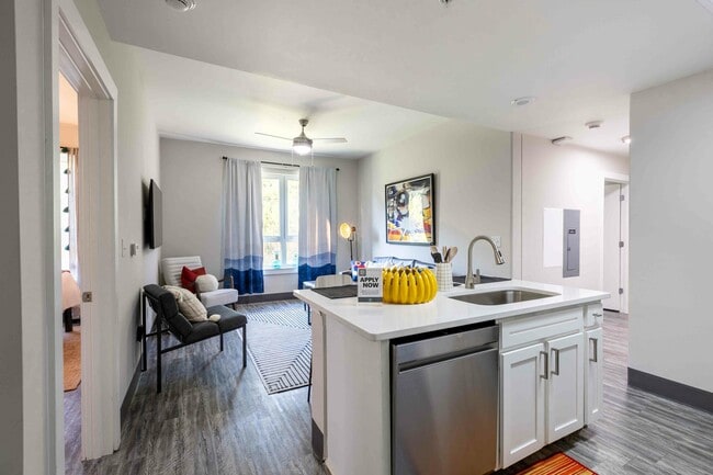 Valentine-Commons-Off-Campus-Apartments-Just-Steps-From-NC-State-University-Platinum-Floor-Plans-Plank-Flooring-Throughout-Open-Floor-Plan-Kitchen-and-Living-Room