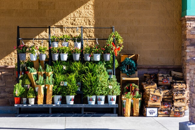 Seasonal items and décor are always available at the shopping centers in Deer Springs.