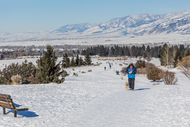 It's common to find residents in Springhill walking their dogs in the mornings.