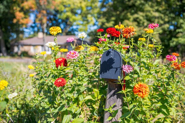 Rasmussen Park is a quaint neighborhood surrounded by nature.