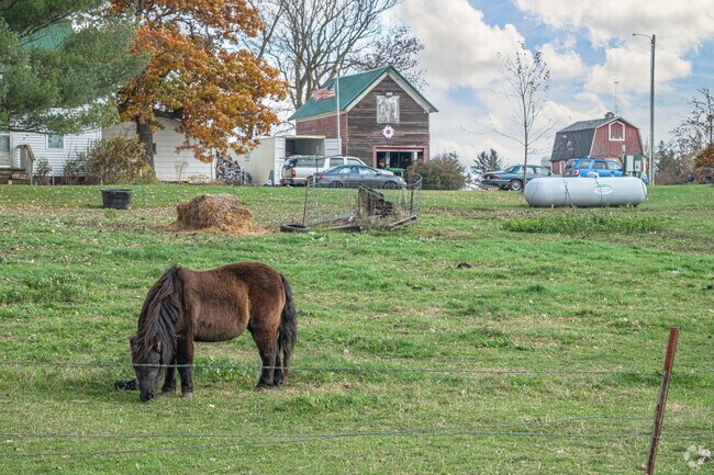 Horses of all sizes can be found in Eau Galle.