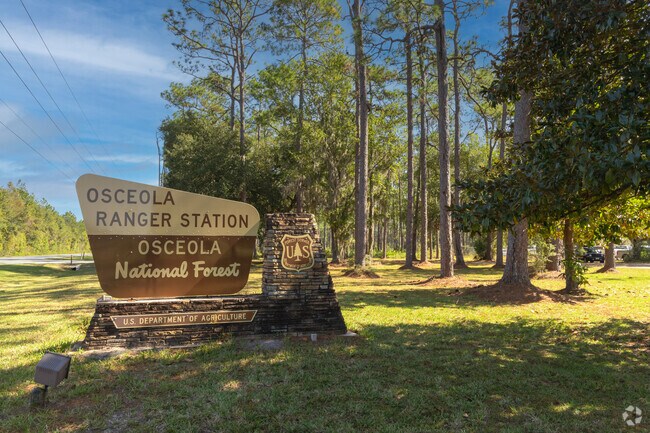 Osceola National Forest features space for outdoor activities in 
Olustee.