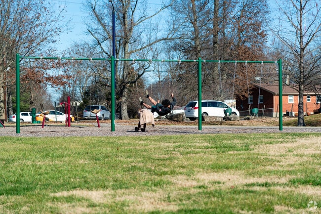 Kids can use the swings at Blue Lick Park.