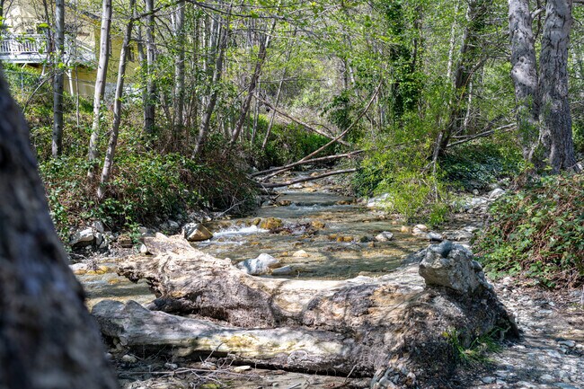 Lytle Creek provides fresh mountain air, stunning views, and a peaceful retreat.