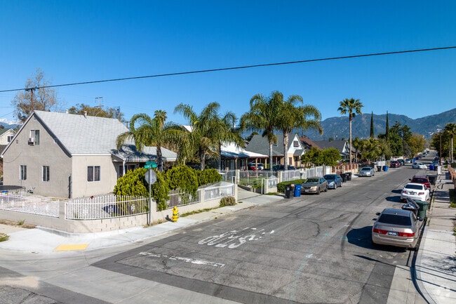 Palm trees line the streets in Delman.