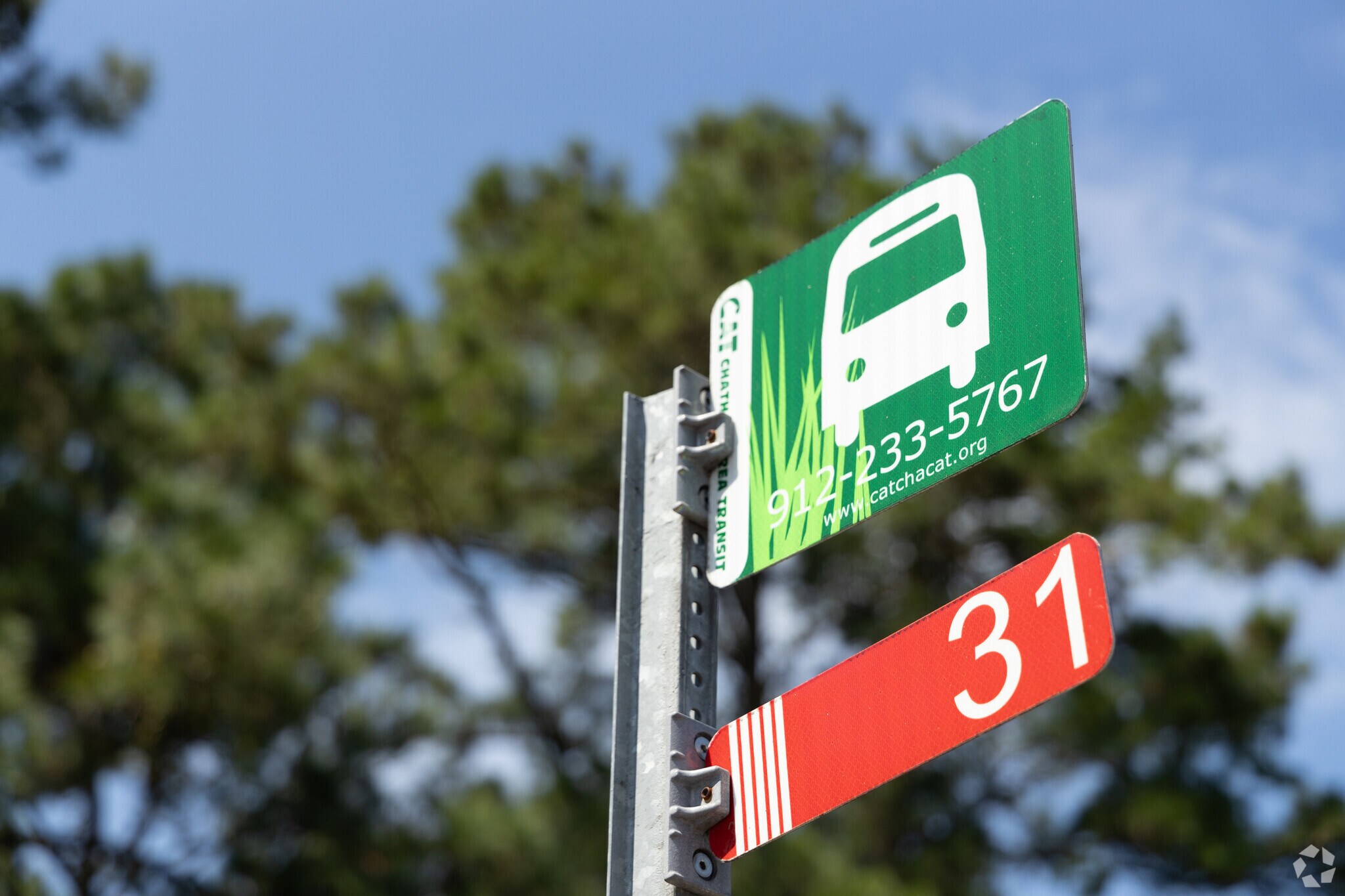 LaRoche Pk-Springhill-Daff residence have access to the Chatham Area Transit System.