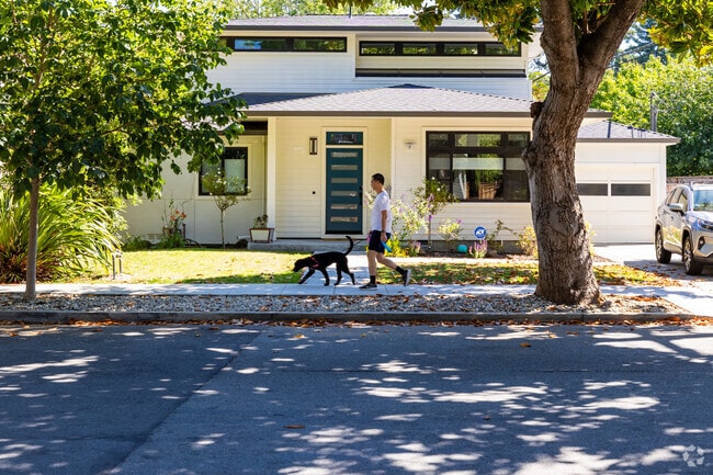A Willows resident walks their dog past a modern home on a typical sunny day.