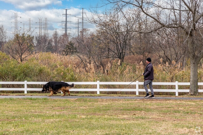 A peaceful trail walk brings calm moments to Alvin P. Williams Park in Sewaren.