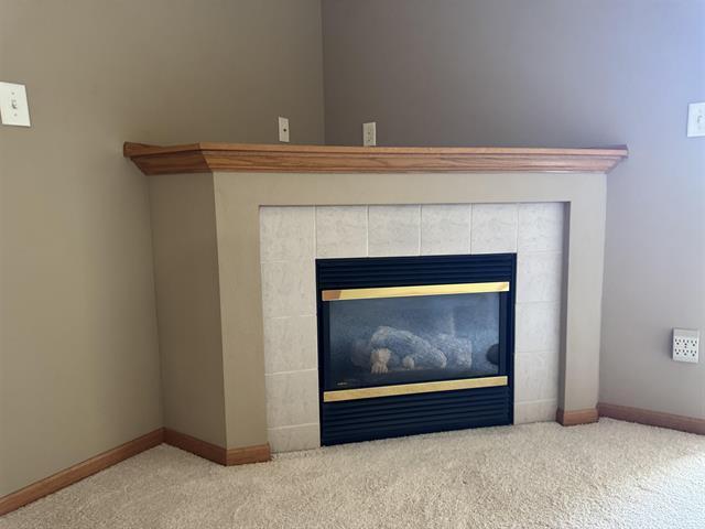 4705 Chadwick Rd unit 3, Cedar Falls, IA 50613 - photo 6