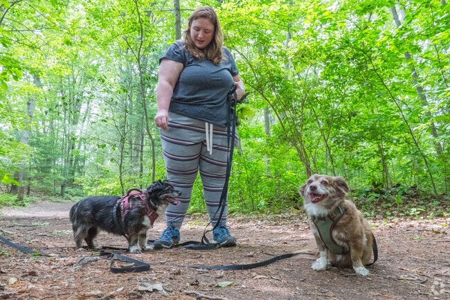 Gammino Pond Preserve in Seekonk offers several trails including a loop around the pond which is perfect for dog walking.