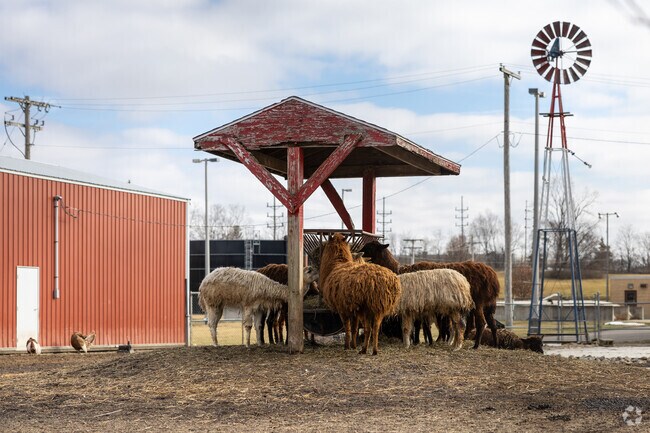 Check out the Alpacas and ducks at the Gas City Park petting zoo.