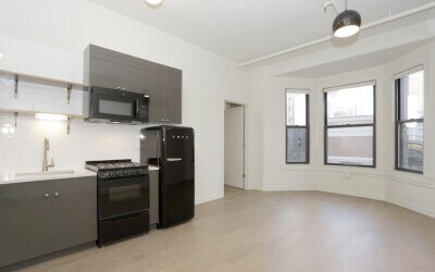 106 W Chicago Ave, Chicago, IL 60654 - photo 2