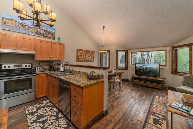 280 S Mahoney Dr unit FL2-ID1309436P, Telluride, CO 81435 - photo 6
