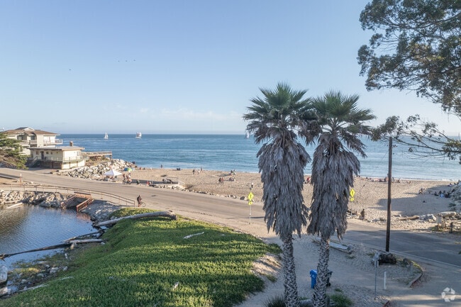 5.	Enjoy a peaceful afternoon walk at Moran Lake Park in Santa Cruz.