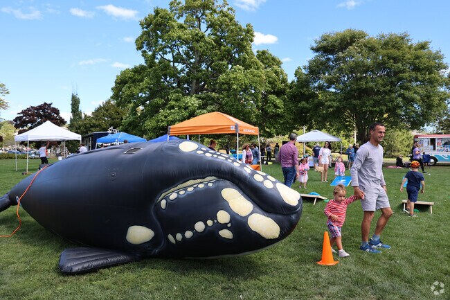 Get up close with a baby whale and meet new vendors at Beverly's Harbor Fest.